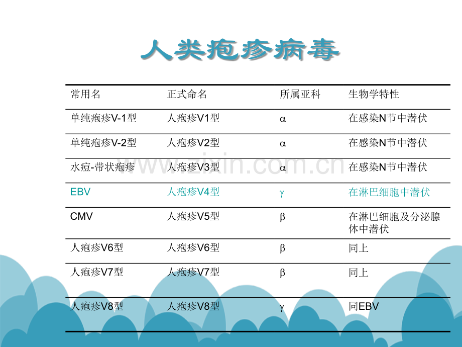 儿童EBV感染及相关疾病的诊断讲谢正ppt课件.ppt_第2页