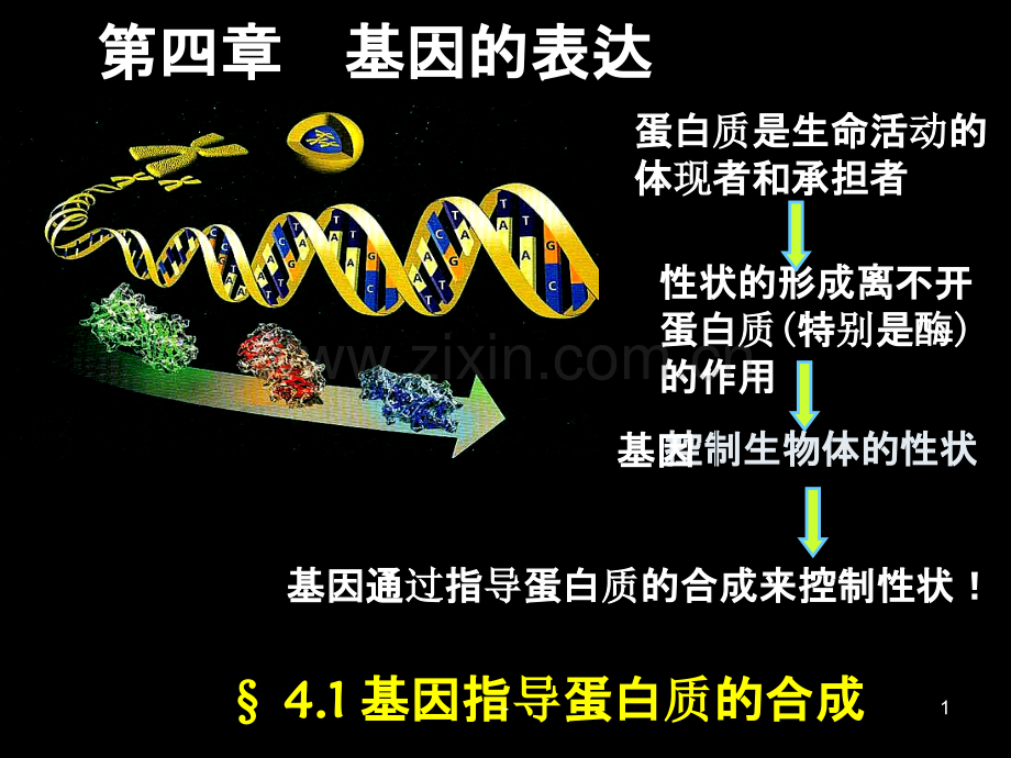 遗传信息的转录PPT课件.ppt_第1页