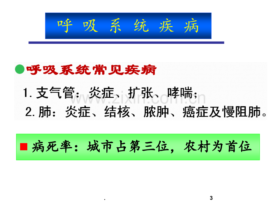 ★作用于呼吸系统的药物1学时PPT课件.ppt_第3页