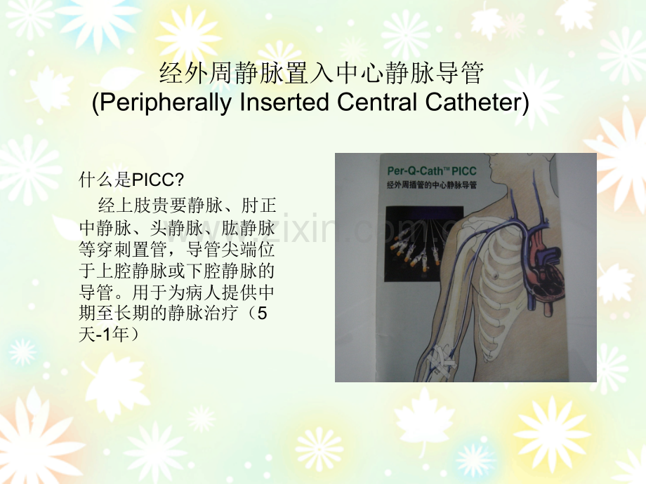 PICC标准维护ppt课件.ppt_第2页