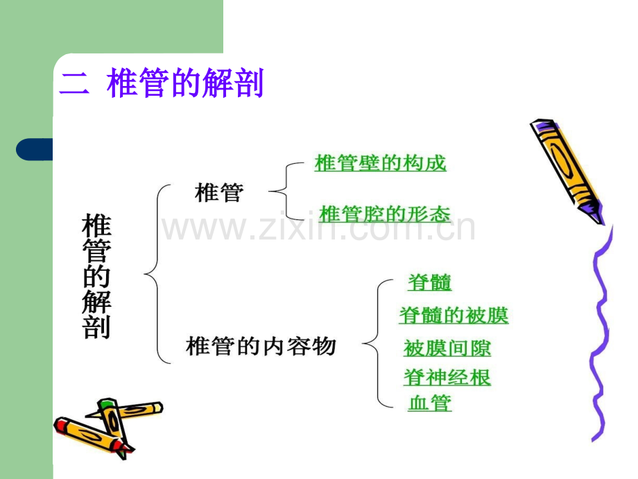 椎管占位病人的护理.ppt_第3页