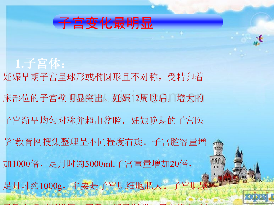 产前产后的基本生理ppt课件.ppt_第2页