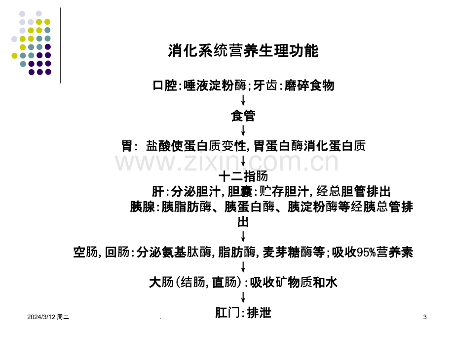 胃肠肝胆疾病营养治疗PPT课件.ppt_第3页