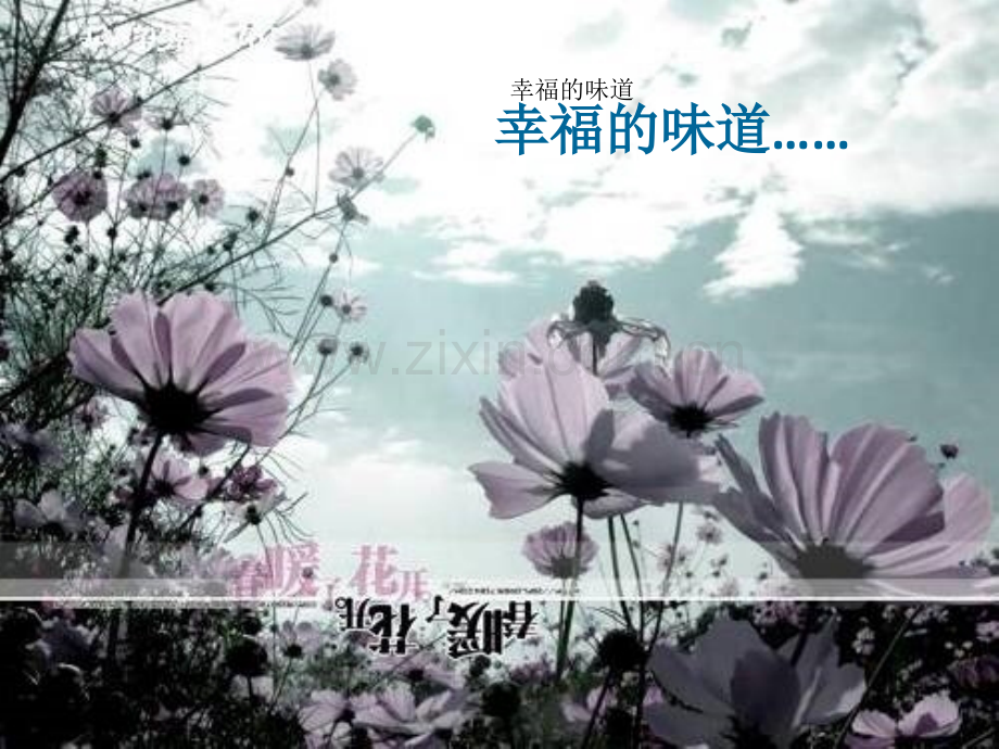 《面朝大海-春暖花开》ppt课件.ppt_第1页