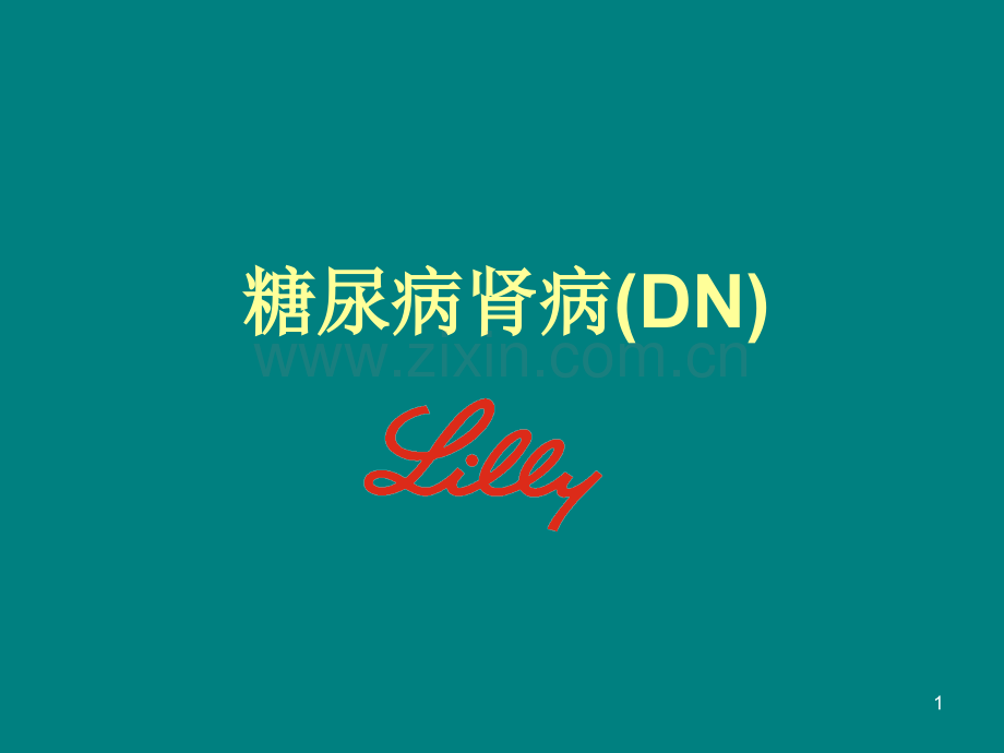 第三篇：DN-糖尿病肾病ppt课件.ppt_第1页