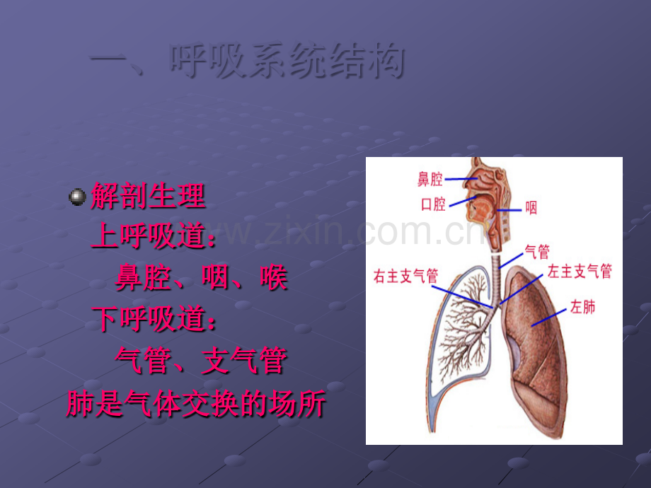 肺炎的分类诊断治疗ppt课件.ppt_第2页