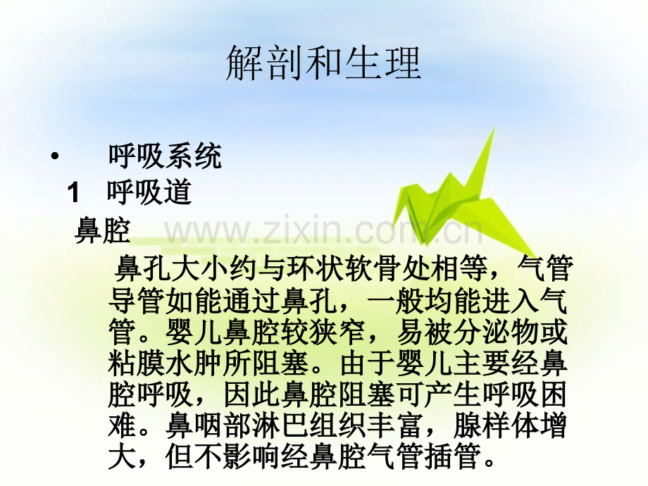 小儿麻醉特点及麻醉要点ppt课件.ppt_第3页