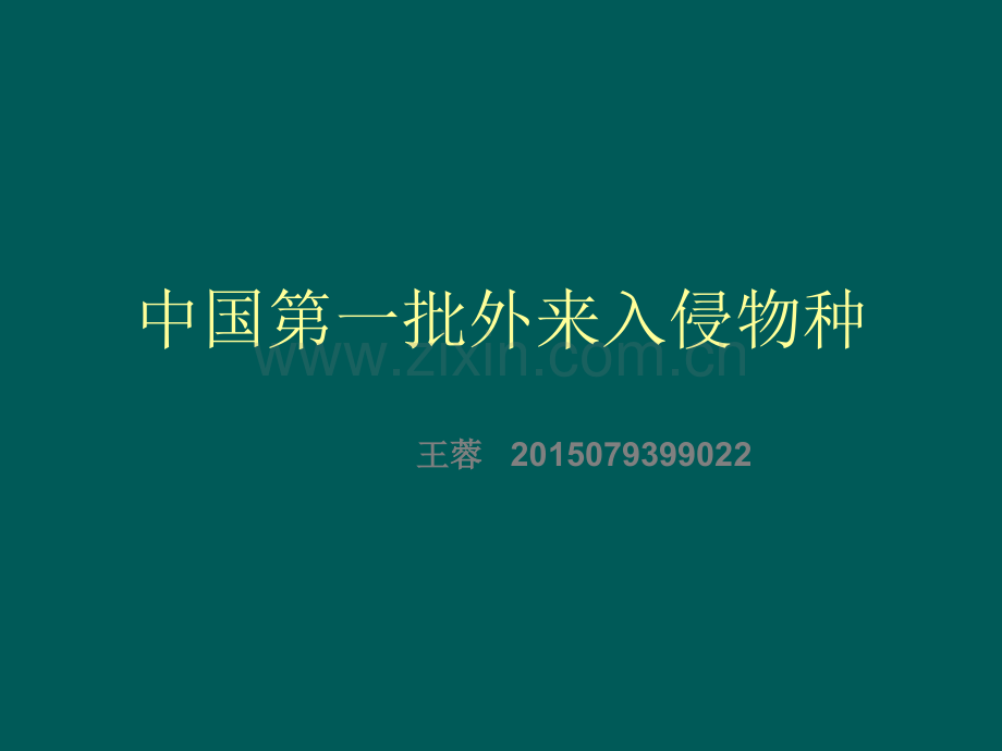 入侵物种ppt课件.pptx_第1页