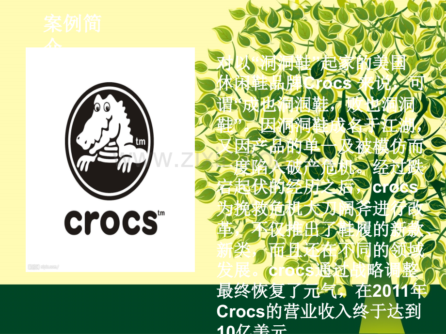 cross市场营销案例分析.ppt_第3页