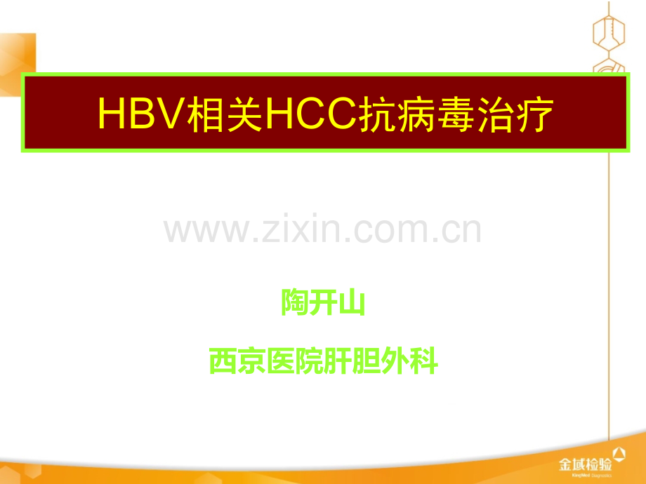 HBV相关HCC抗病毒治疗ppt课件.ppt_第1页