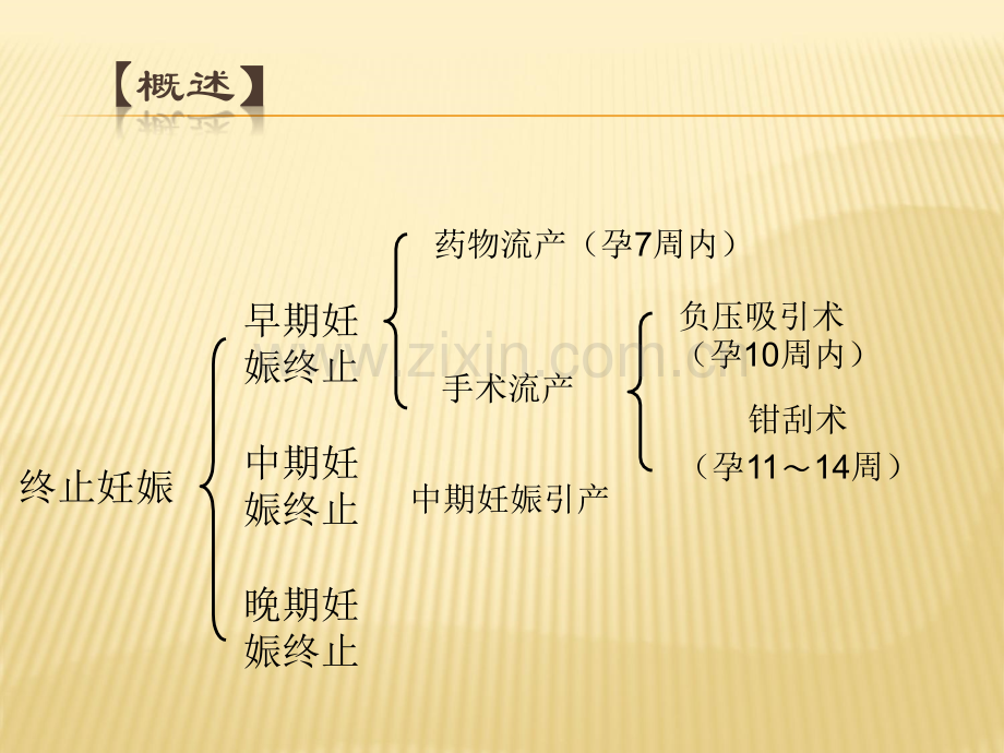 终止妊娠方法及护理ppt课件.pptx_第2页