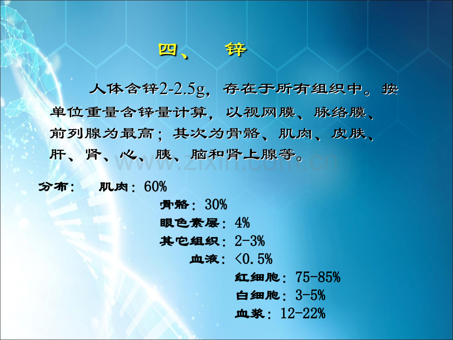 第07章-矿物质ppt课件.ppt_第1页