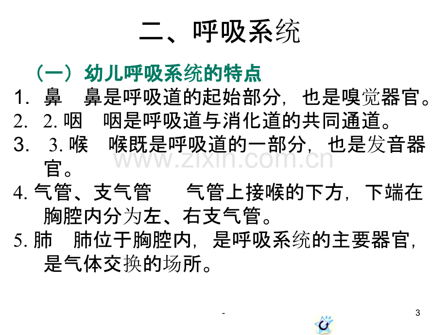 第一章呼吸系统PPT课件.ppt_第3页