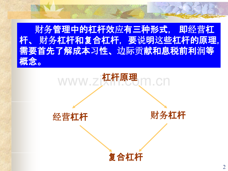 财务管理(杠杆利益与风险)PPT课件.ppt_第2页