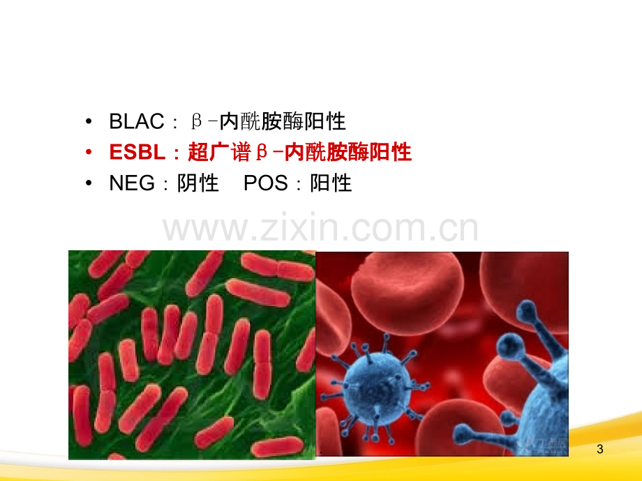 细菌报告解读-临床沟通.ppt_第3页