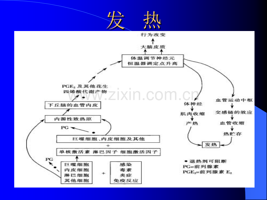 不明原因发热的诊断ppt课件.ppt_第3页