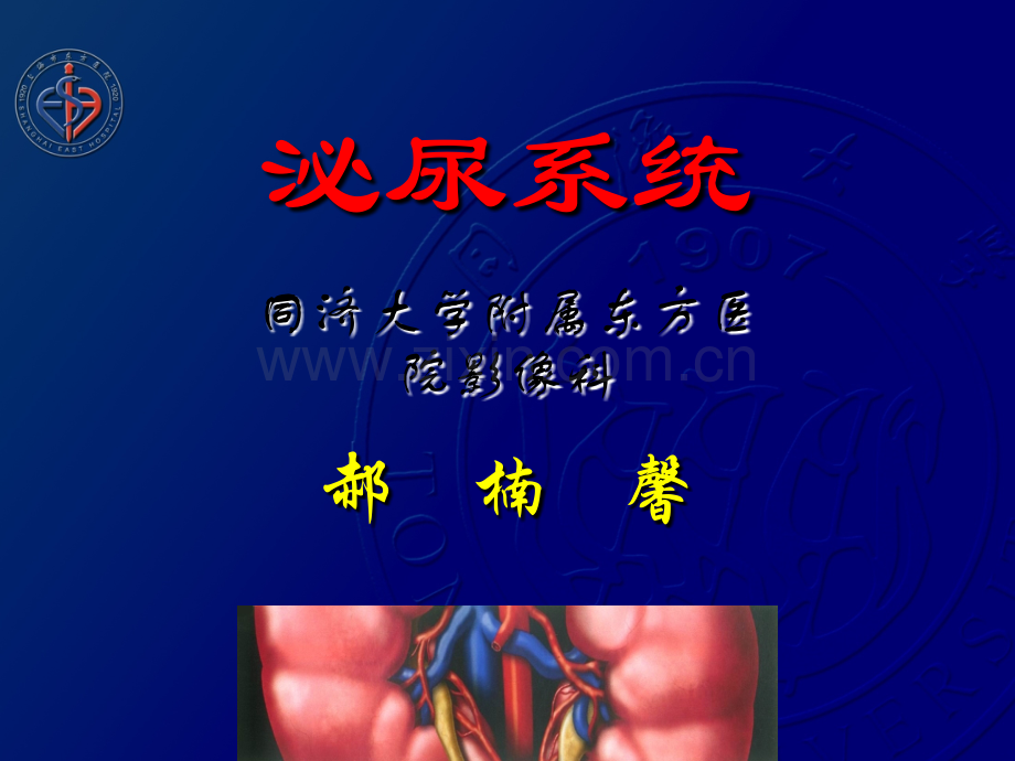 腹部影像学诊断ppt课件.ppt_第2页