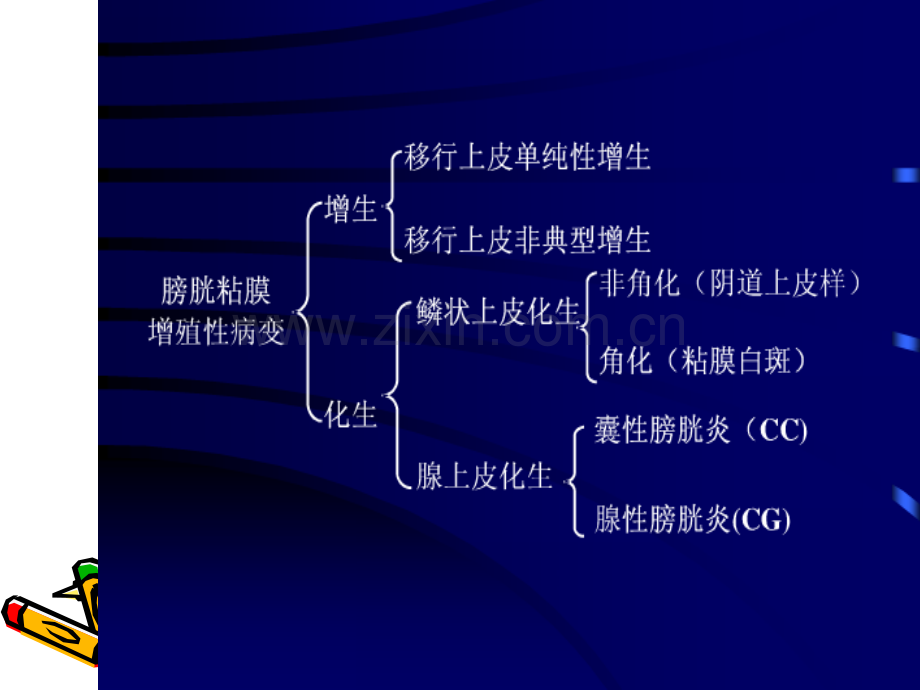 增殖性膀胱炎诊治.ppt_第2页