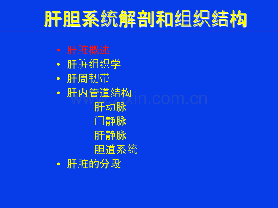 肝胆系统解剖和组织结构.ppt_第2页