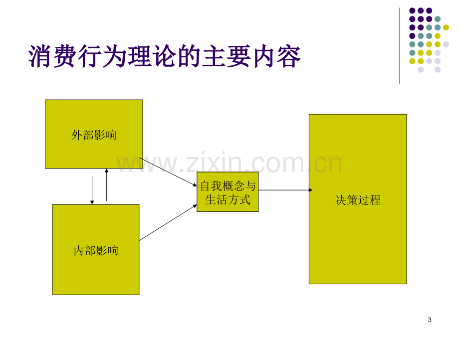 消费者行为理论一PPT课件.ppt_第3页