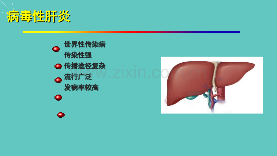 肝炎病毒.ppt_第2页