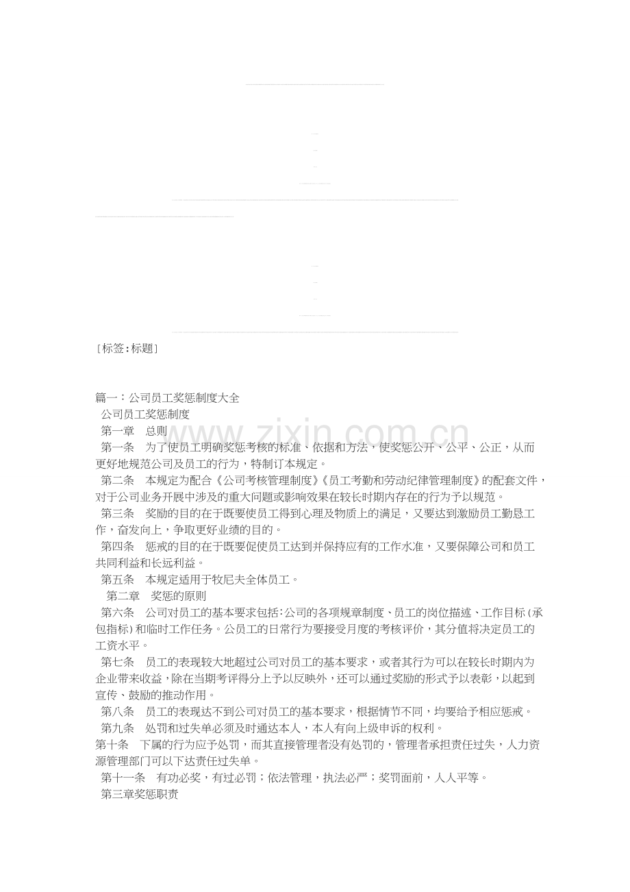 公司奖惩制度[002].doc_第1页