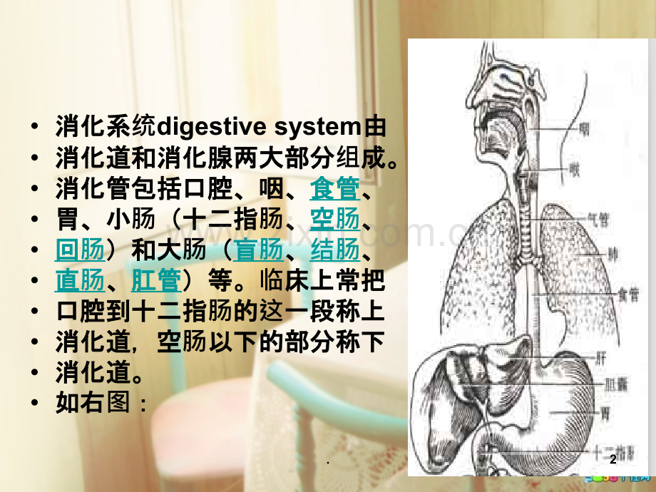 消化道穿孔护理查PPT课件.ppt_第2页