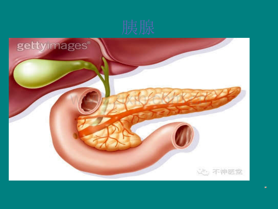 胰腺炎的相关知识ppt课件.pptx_第2页