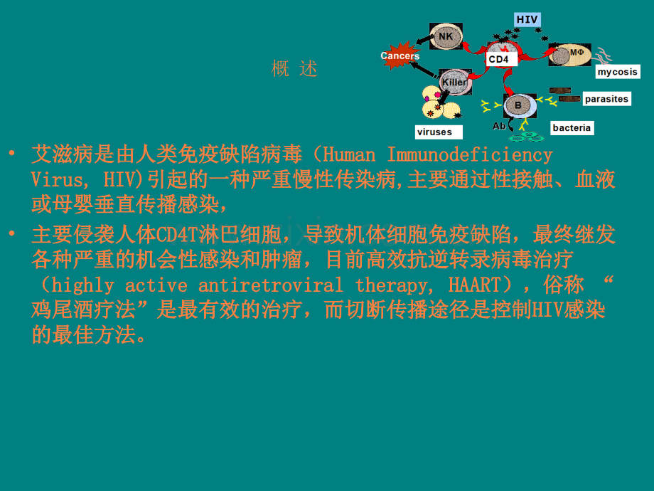 艾滋病北医ppt课件.ppt_第3页