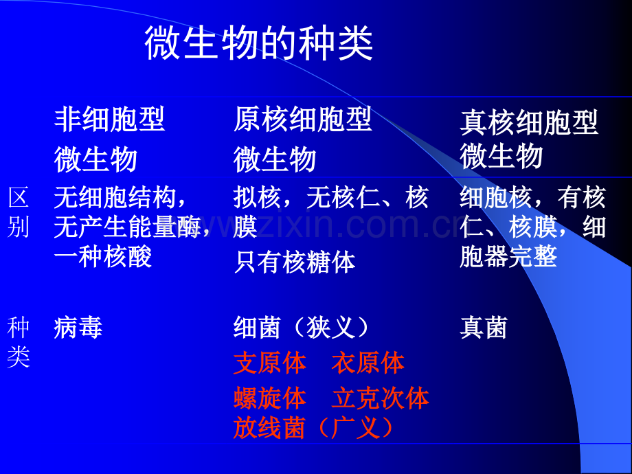 病原微生物之立克次体等ppt课件.ppt_第2页