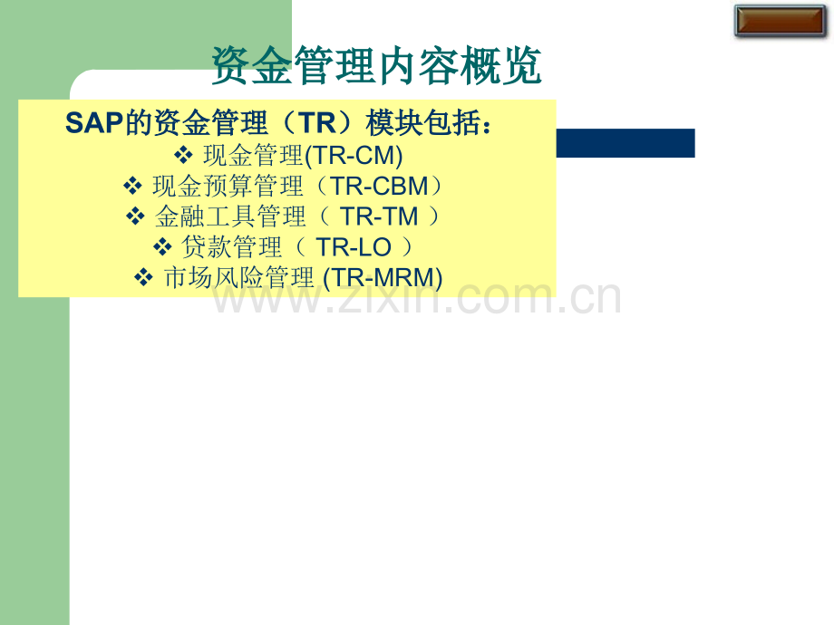 SAP资金管理概览培训.ppt_第2页