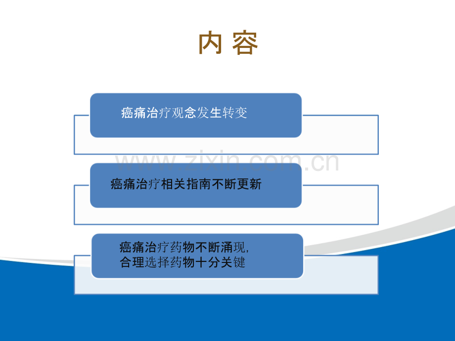 中国癌痛治疗进展.pptx_第2页