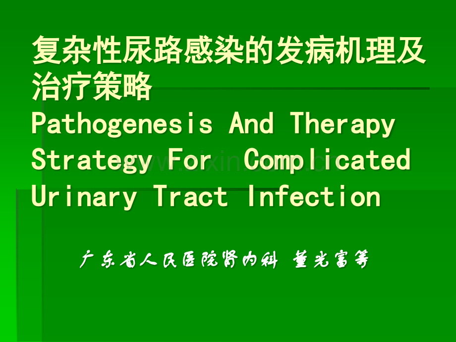 复杂性尿路感染的发病机理及治疗策略ppt课件.ppt_第1页