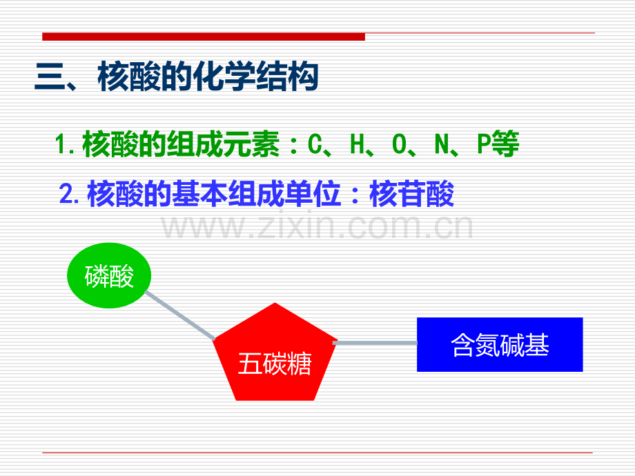 第二章--第三节-遗传信息的携带者—核酸PPT课件.ppt_第2页