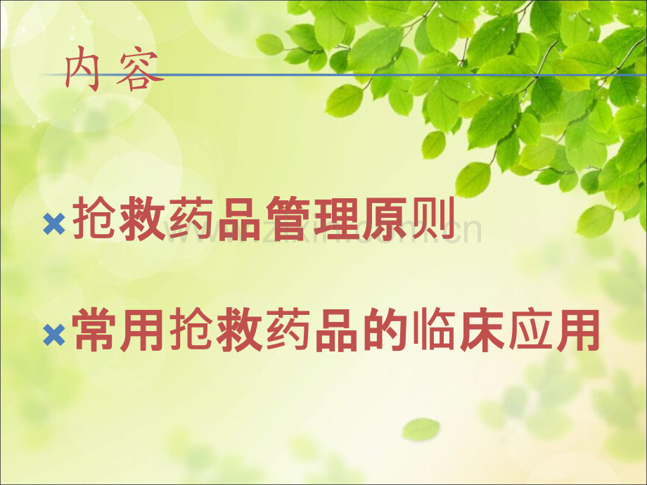 常用急救药品ppt课件.ppt_第2页