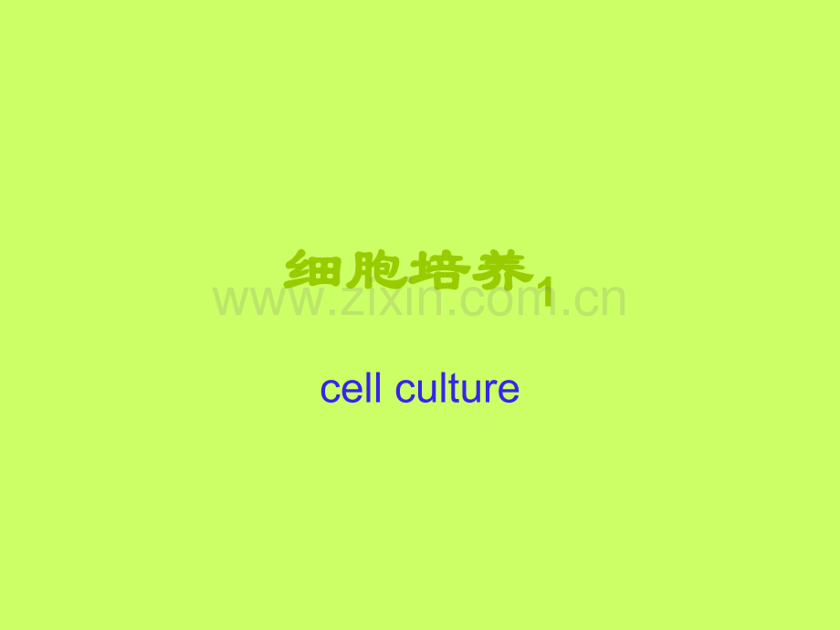 VERO细胞培养.ppt_第1页