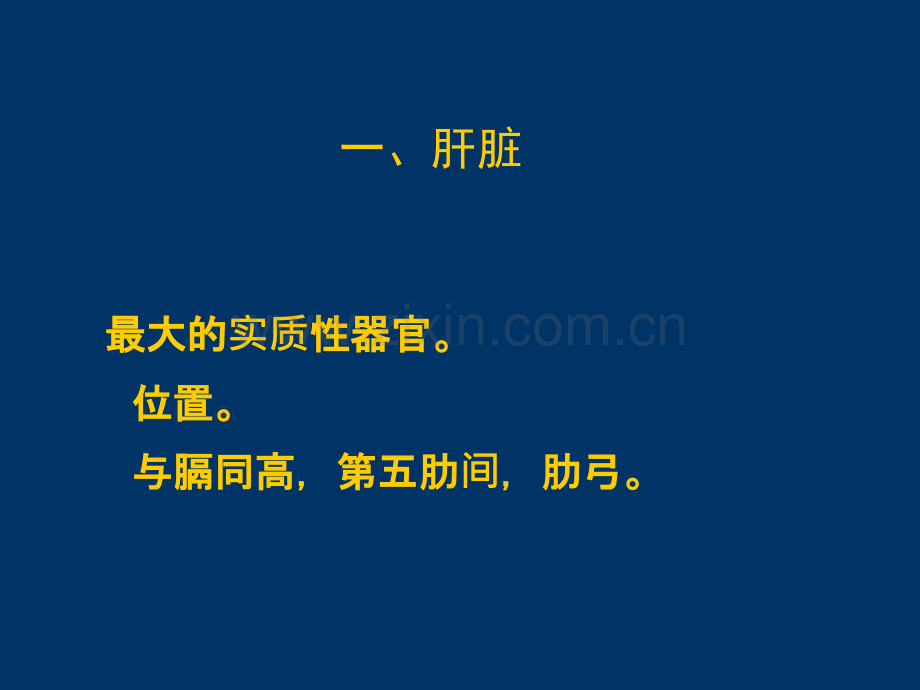 肝胆脾胰、腹膜后常见疾病的超声诊断ppt课件.ppt_第2页