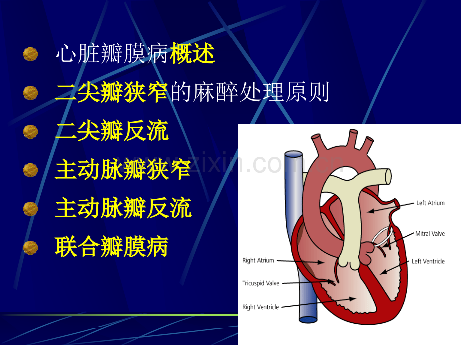 心脏瓣膜病人手术的麻醉.ppt_第2页