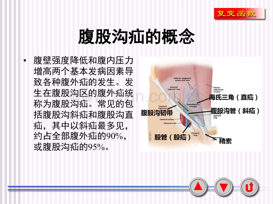 腹股沟疝的诊断与治疗.ppt_第2页