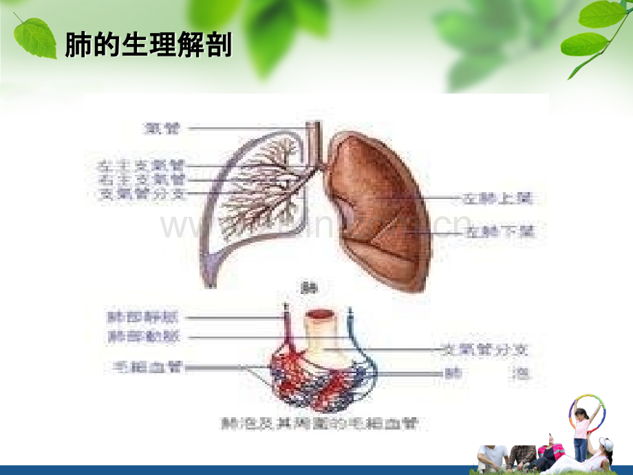 肺癌的护理ppt课件.pptx_第3页