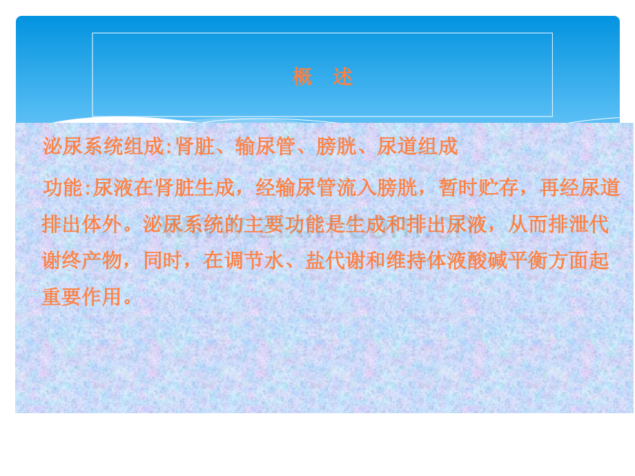 防病生活常识第五讲-泌尿系统常见疾病ppt课件.ppt_第2页