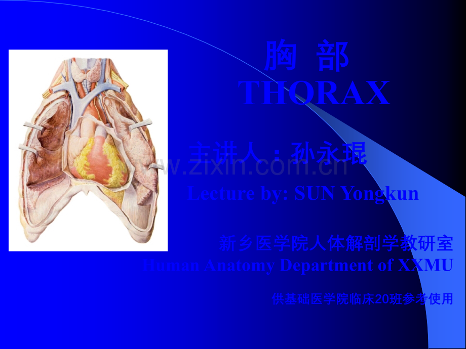 局部解剖学-胸部ppt课件.pptx_第1页