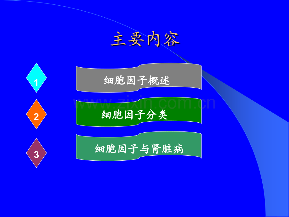 细胞因子与肾脏病.ppt_第2页