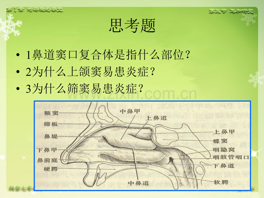 耳的应用解剖生理ppt课件.ppt_第3页