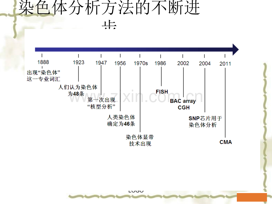 CMA在产前诊断中的应用ppt课件.ppt_第2页