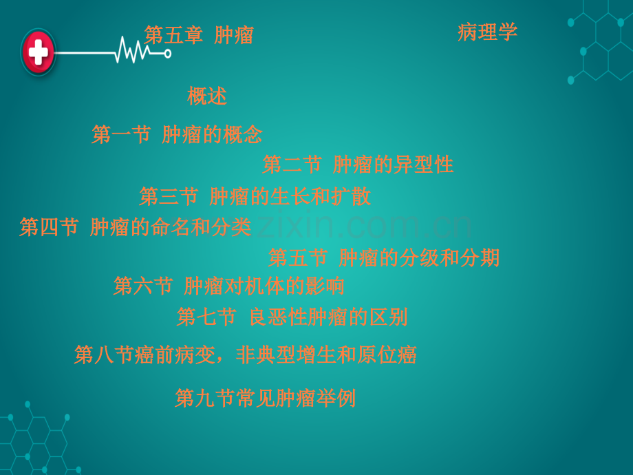 第五章--肿瘤pptppt课件.ppt_第2页