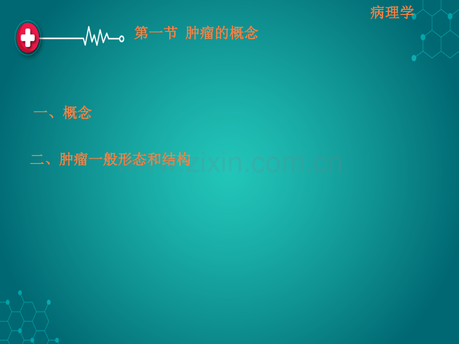 第五章--肿瘤pptppt课件.ppt_第3页