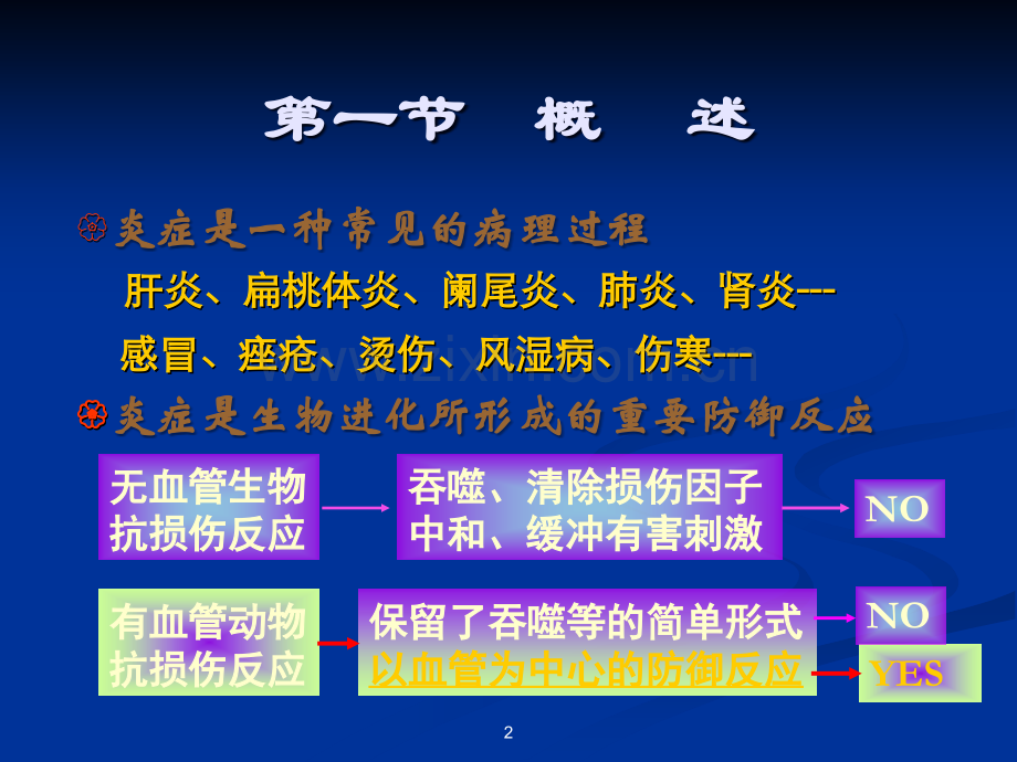 [病理学]炎症.ppt_第2页