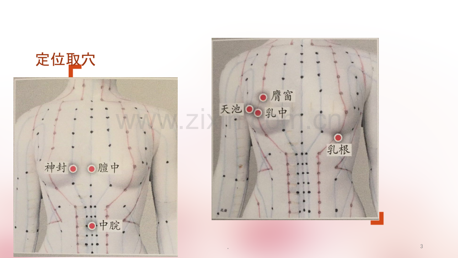 产后普通型缺乳催乳按摩手法ppt课件.pptx_第3页