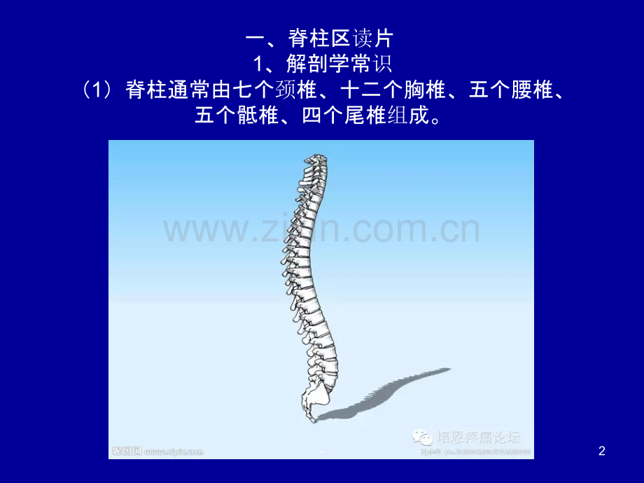 X片读片基础PPT课件.ppt_第2页